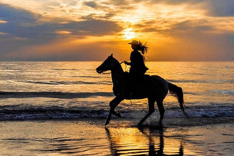 horse beach sunrise-4_rgb_l_1