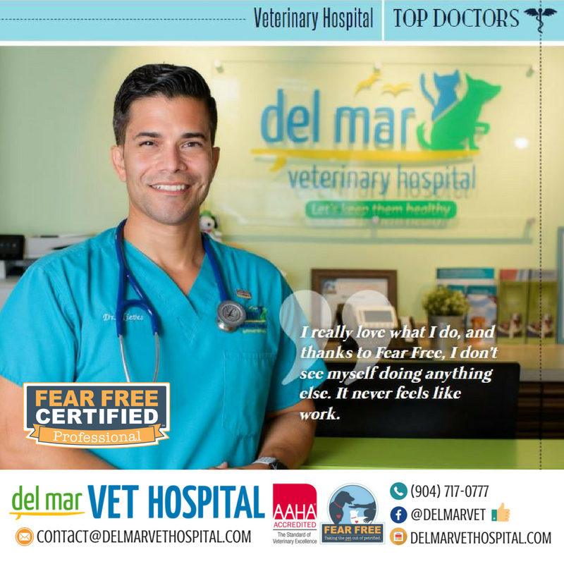 Del Mar Veterinary Hospital - En Jacksonville